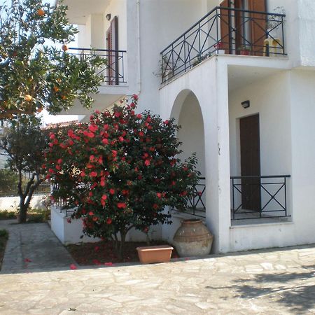 Karagiozos Studios & Apartments Σκόπελος Εξωτερικό φωτογραφία