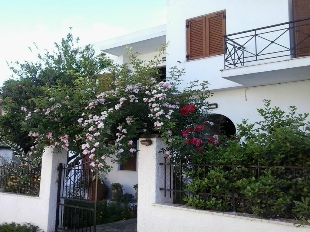Karagiozos Studios & Apartments Σκόπελος Εξωτερικό φωτογραφία