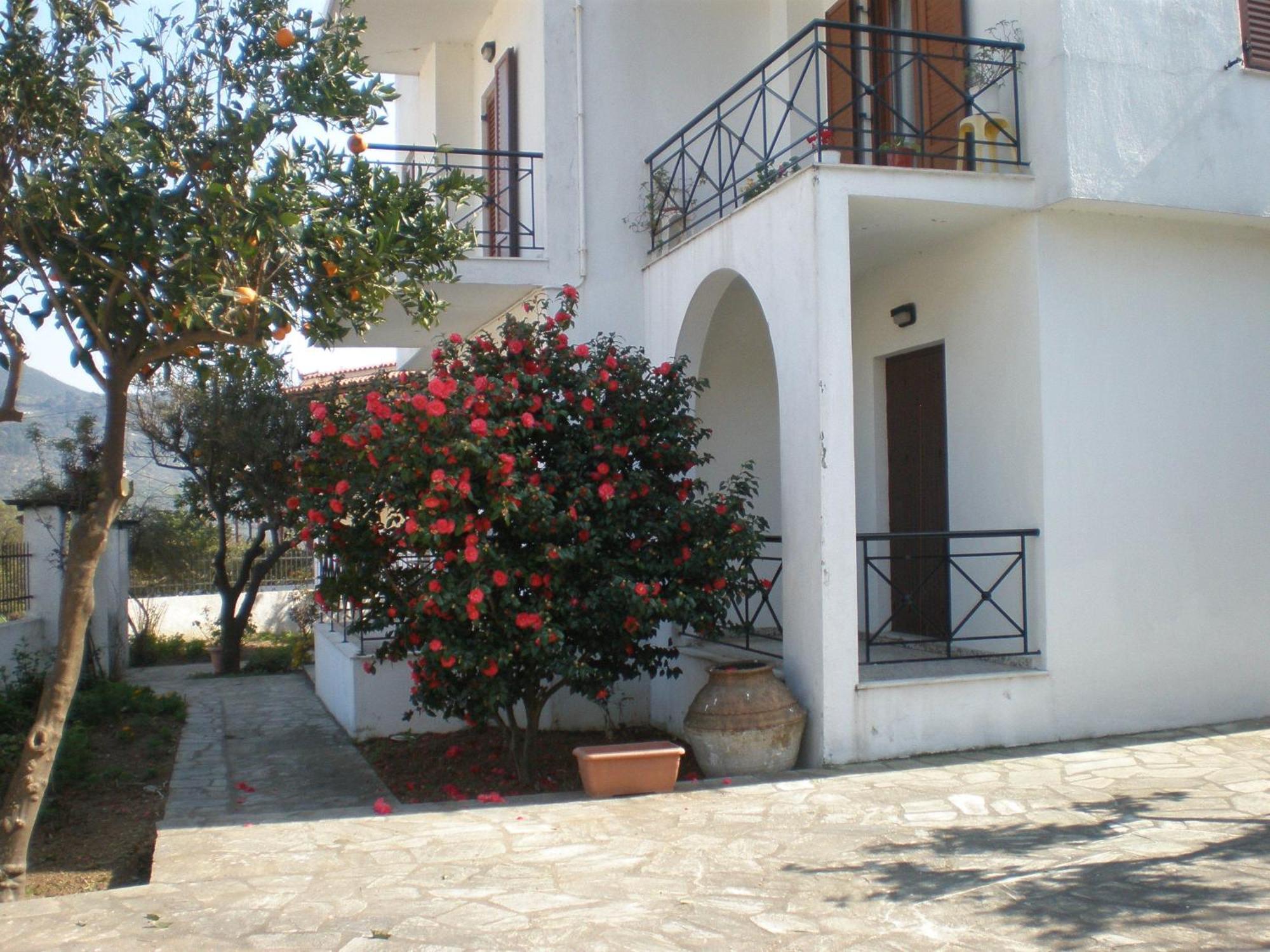 Karagiozos Studios & Apartments Σκόπελος Εξωτερικό φωτογραφία