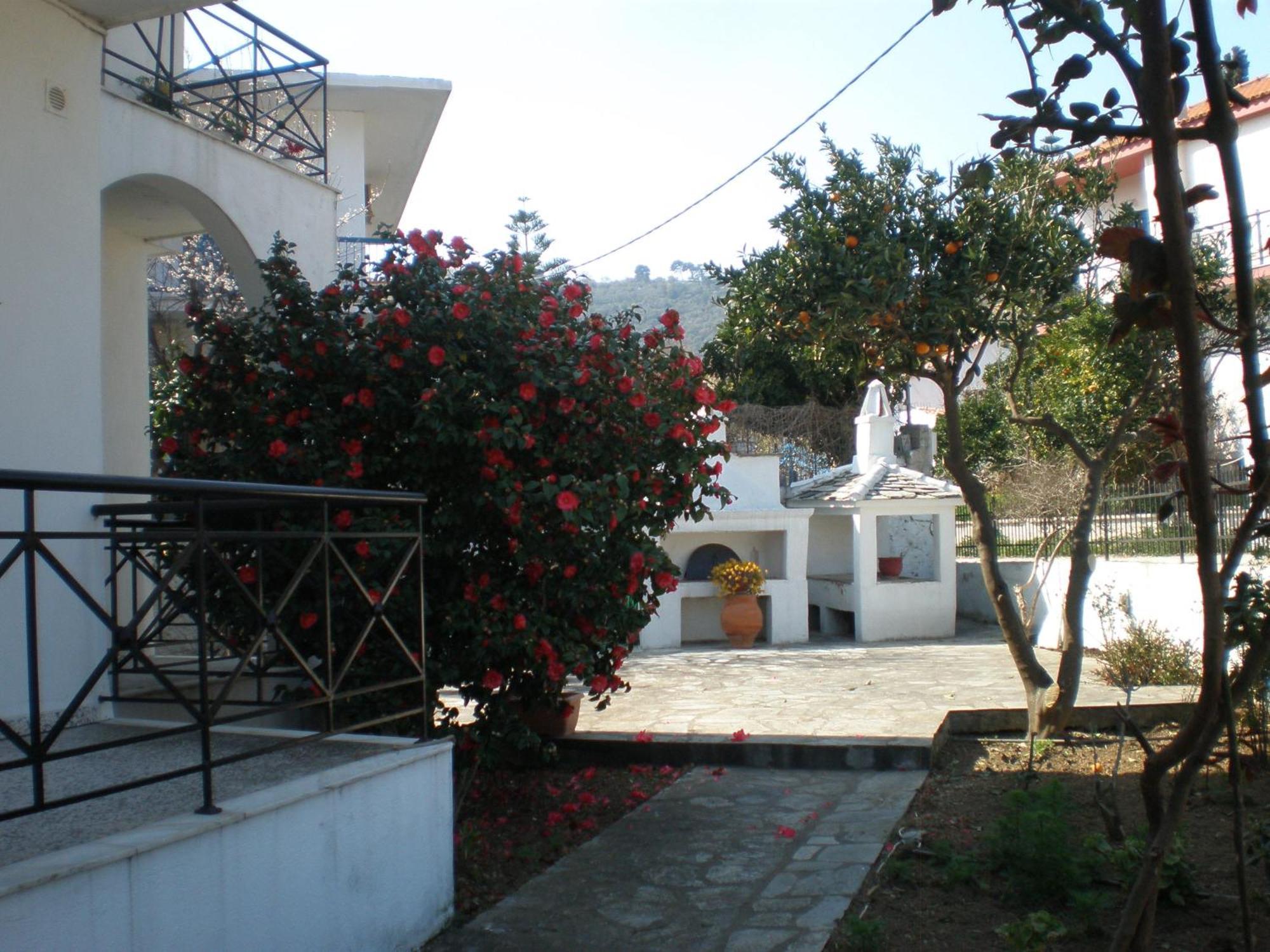 Karagiozos Studios & Apartments Σκόπελος Εξωτερικό φωτογραφία