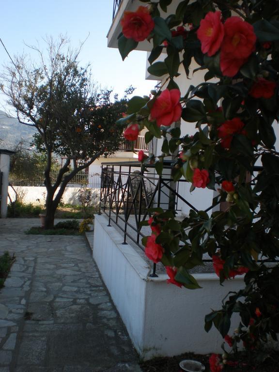 Karagiozos Studios & Apartments Σκόπελος Δωμάτιο φωτογραφία